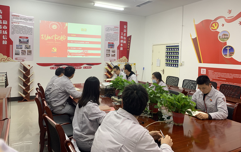 【学习贯彻党的二十大精神】凯发一触即发有限下层党组织掀起学习党的二十大精神热潮-凯发一触即发