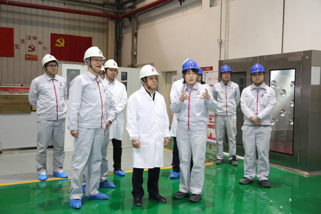 中国西电集团党委书记、董事长丁小林一行调研凯发一触即发有限-凯发一触即发